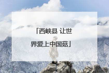 西峡县 让世界爱上中国菇