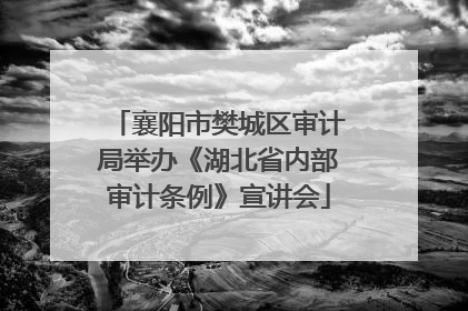 襄阳市樊城区审计局举办《湖北省内部审计条例》宣讲会