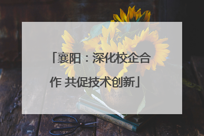 襄阳：深化校企合作 共促技术创新