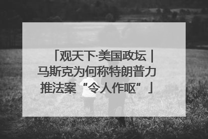观天下·美国政坛｜马斯克为何称特朗普力推法案“令人作呕”