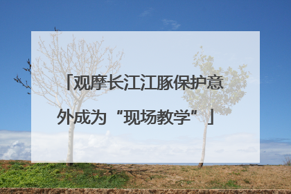 观摩长江江豚保护意外成为“现场教学”