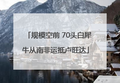 规模空前 70头白犀牛从南非运抵卢旺达