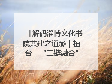 解码淄博文化书院共建之道⑩｜桓台：“三链融合”撬动基层文化共治新动能