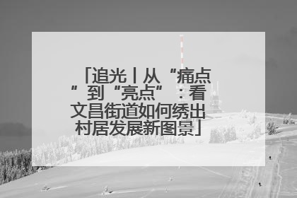 追光丨从“痛点”到“亮点”：看文昌街道如何绣出村居发展新图景