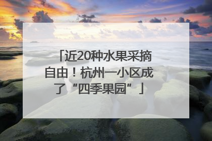 近20种水果采摘自由！杭州一小区成了“四季果园”