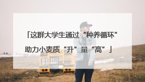 这群大学生通过“种养循环”助力小麦质“升”量“高”