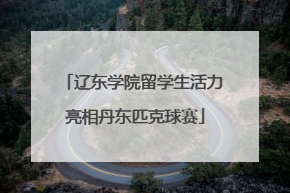 辽东学院留学生活力亮相丹东匹克球赛