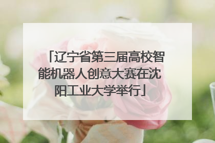 辽宁省第三届高校智能机器人创意大赛在沈阳工业大学举行