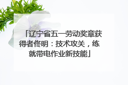 辽宁省五一劳动奖章获得者佟明：技术攻关，练就带电作业新技能