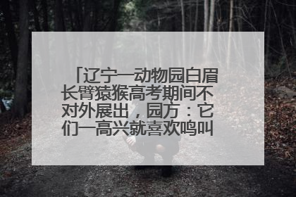 辽宁一动物园白眉长臂猿猴高考期间不对外展出，园方：它们一高兴就喜欢鸣叫，怕影响考试