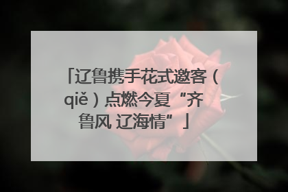辽鲁携手花式邀客（qiě）点燃今夏“齐鲁风 辽海情”