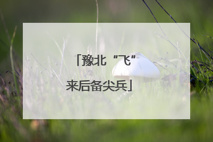 豫北“飞”来后备尖兵