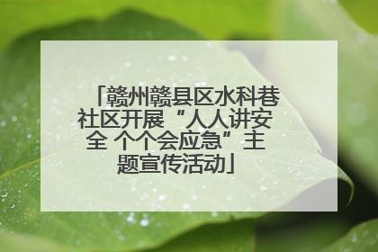 赣州赣县区水科巷社区开展“人人讲安全 个个会应急”主题宣传活动