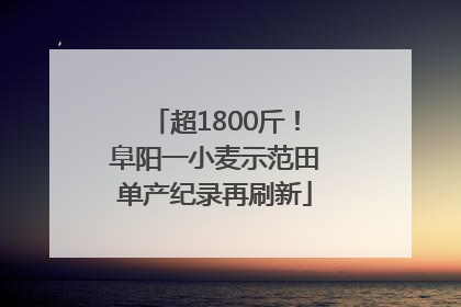超1800斤！阜阳一小麦示范田单产纪录再刷新