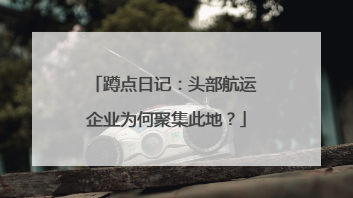 蹲点日记：头部航运企业为何聚集此地？