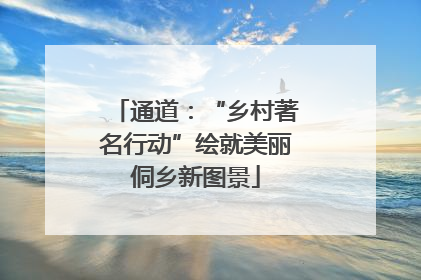 通道：“乡村著名行动”绘就美丽侗乡新图景