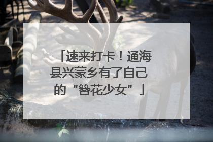 速来打卡！通海县兴蒙乡有了自己的“簪花少女”