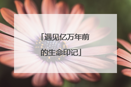 遇见亿万年前的生命印记