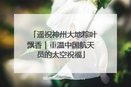 遥祝神州大地粽叶飘香｜重温中国航天员的太空祝福