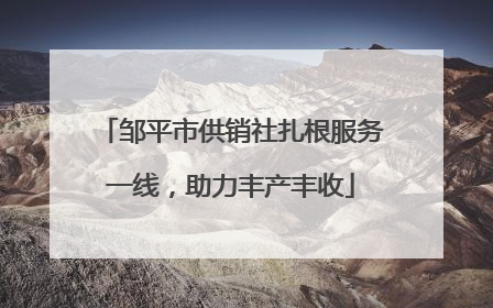 邹平市供销社扎根服务一线，助力丰产丰收