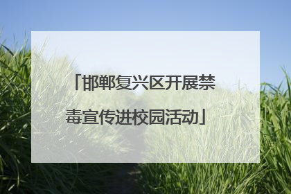 邯郸复兴区开展禁毒宣传进校园活动