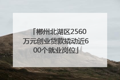 郴州北湖区2560万元创业贷款撬动近600个就业岗位