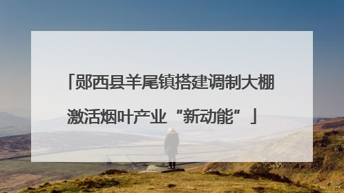 郧西县羊尾镇搭建调制大棚激活烟叶产业“新动能”