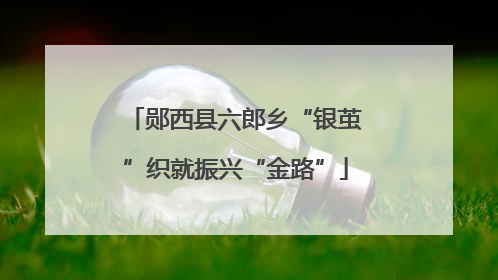 郧西县六郎乡“银茧”织就振兴“金路”