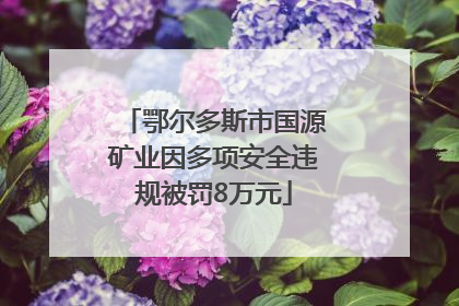 鄂尔多斯市国源矿业因多项安全违规被罚8万元