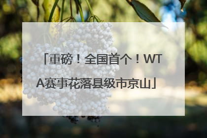 重磅！全国首个！WTA赛事花落县级市京山