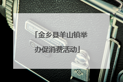 金乡县羊山镇举办促消费活动