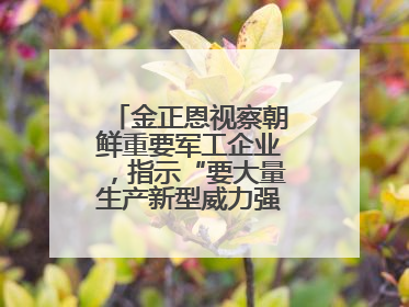 金正恩视察朝鲜重要军工企业，指示“要大量生产新型威力强大的炮弹”