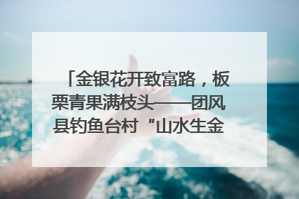 金银花开致富路，板栗青果满枝头——团风县钓鱼台村“山水生金”谱写共富新篇章