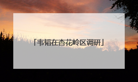韦韬在杏花岭区调研