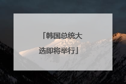 韩国总统大选即将举行