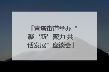 青塔街道举办“凝‘新’聚力·共话发展”座谈会