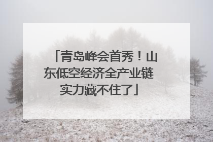 青岛峰会首秀！山东低空经济全产业链实力藏不住了