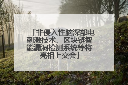 非侵入性脑深部电刺激技术、区块链智能漏洞检测系统等将亮相上交会