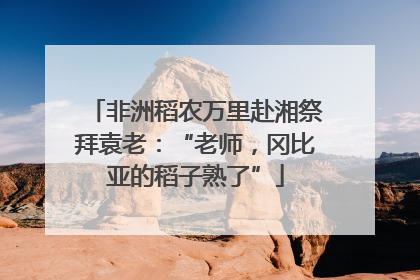 非洲稻农万里赴湘祭拜袁老：“老师，冈比亚的稻子熟了”