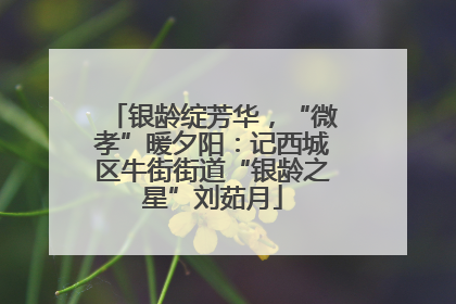 银龄绽芳华，“微孝”暖夕阳：记西城区牛街街道“银龄之星”刘茹月