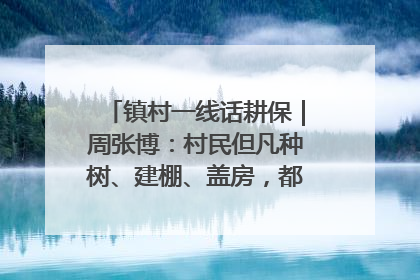 镇村一线话耕保｜周张博：村民但凡种树、建棚、盖房，都要向街道报批