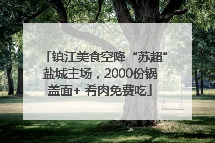 镇江美食空降“苏超”盐城主场，2000份锅盖面+ 肴肉免费吃