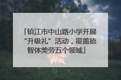 镇江市中山路小学开展“升级礼”活动，覆盖德智体美劳五个领域