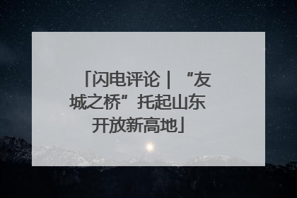 闪电评论｜“友城之桥”托起山东开放新高地
