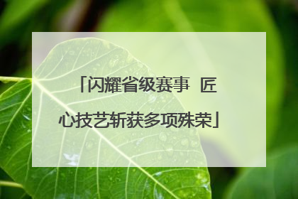 闪耀省级赛事  匠心技艺斩获多项殊荣