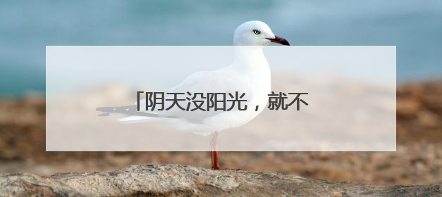 阴天没阳光，就不用防晒了……是真是假？｜谣言终结站