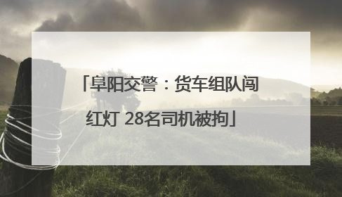 阜阳交警：货车组队闯红灯 28名司机被拘