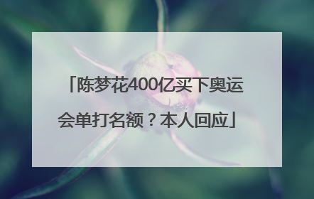 陈梦花400亿买下奥运会单打名额？本人回应