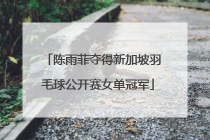 陈雨菲夺得新加坡羽毛球公开赛女单冠军