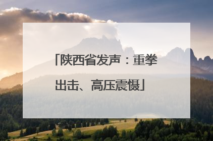 陕西省发声：重拳出击、高压震慑